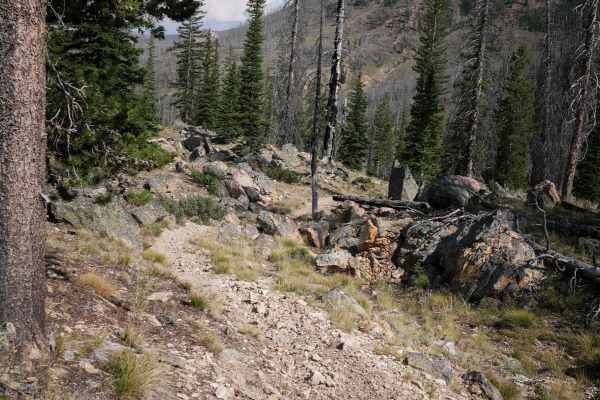 Westfork Yankee Fork