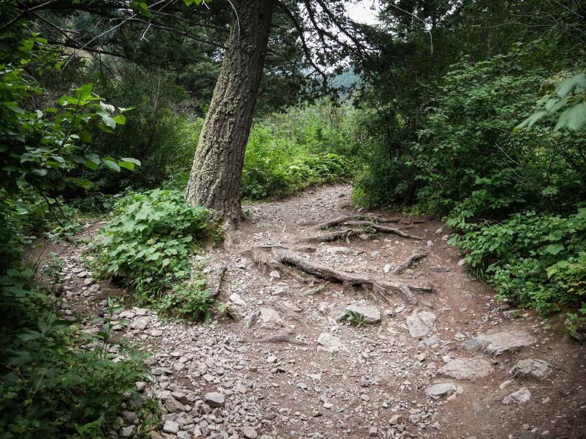 Truman Gulch photo 2