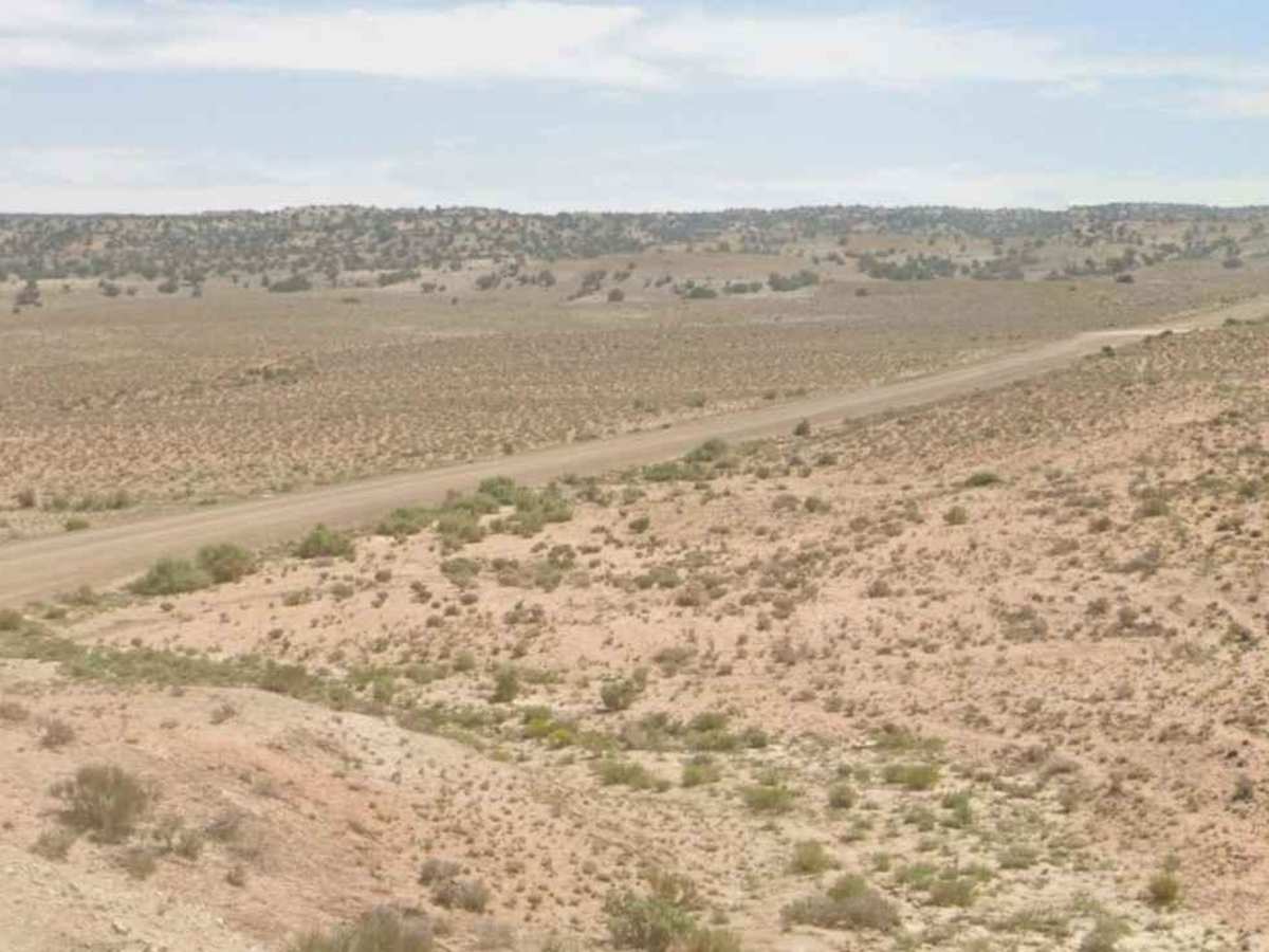 Wedge Road-Emery CR405 photo 6