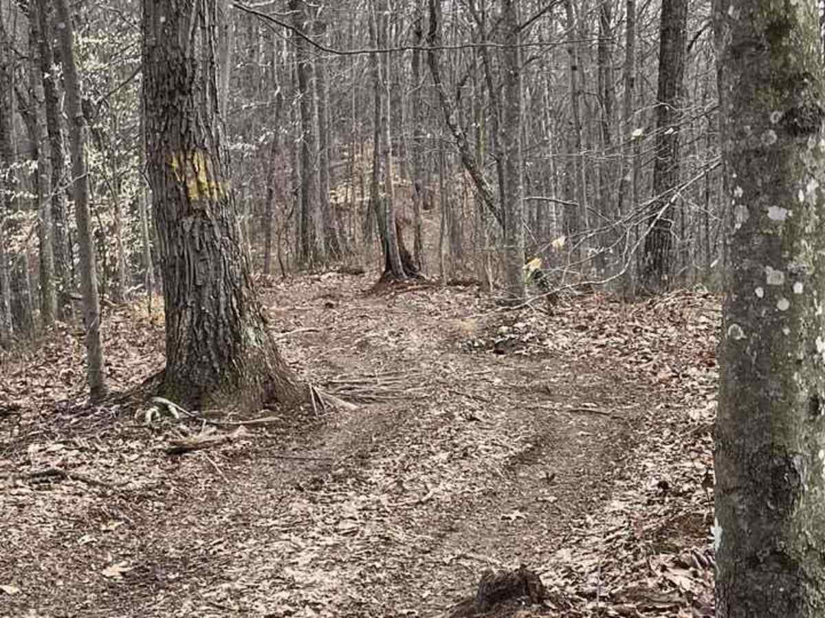Trail 2 - High Ground photo 4