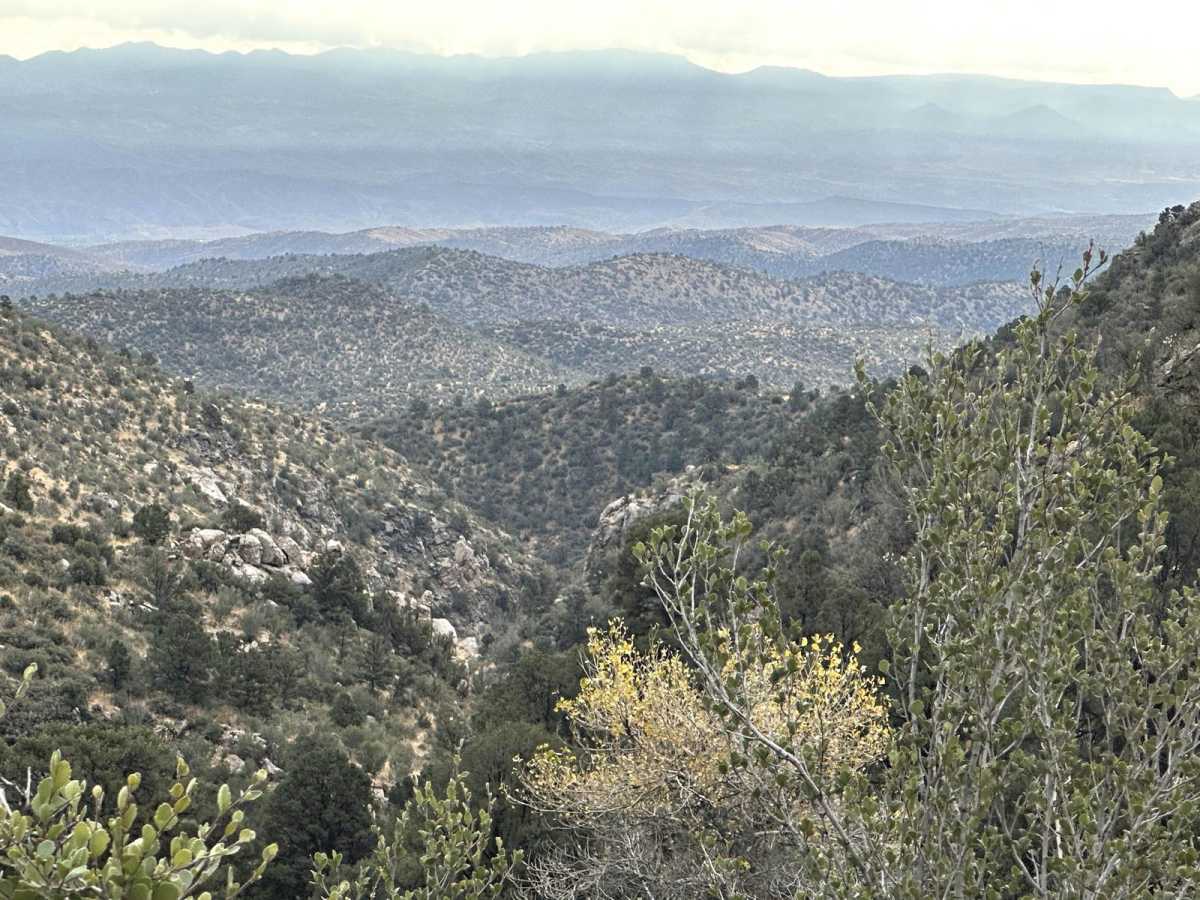 Antelope Wash Road photo 5
