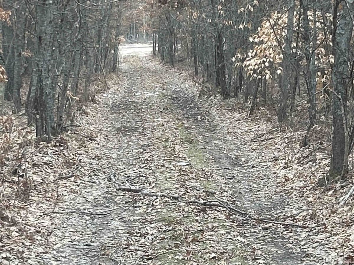 Oxford Lake Area photo 4