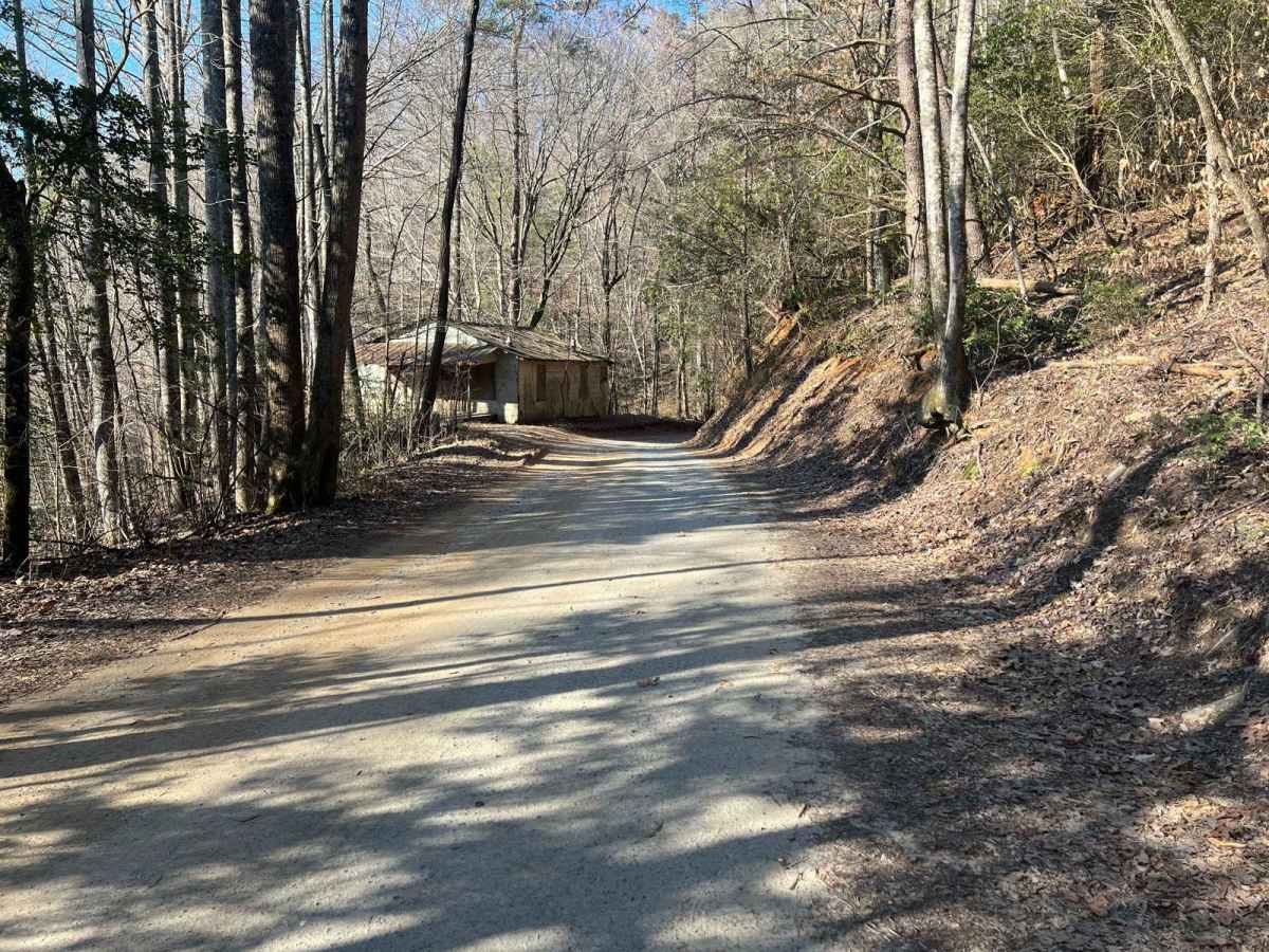 Cashes Valley Road photo 4