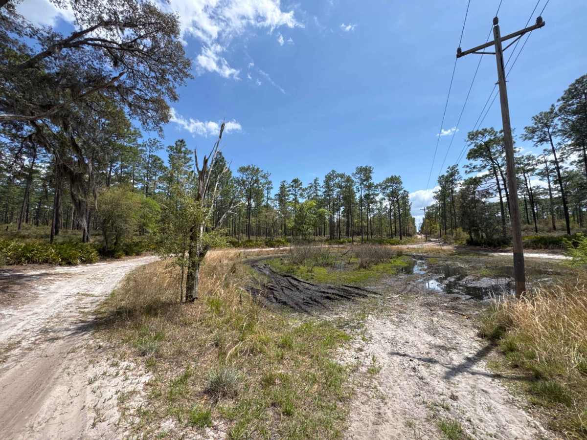 Powerline Road - NE 250th Ave Road photo 5