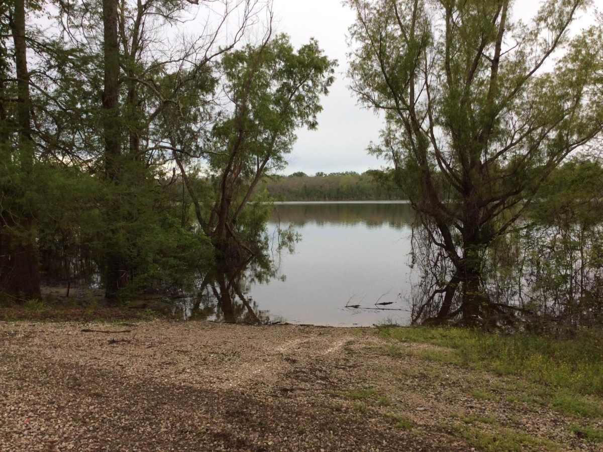 Three Rivers WMA - Grand Bay Trail photo 2