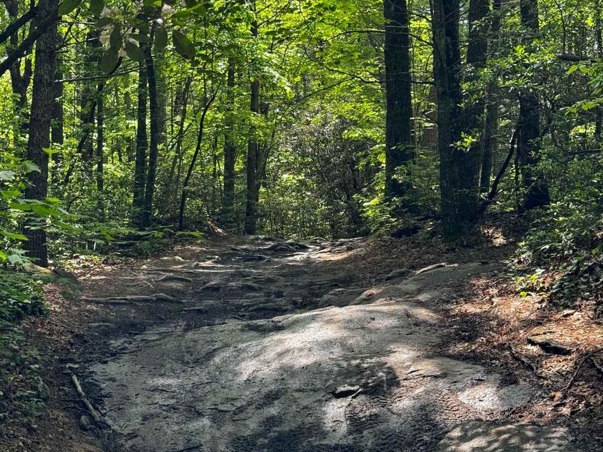 Brown Mountain Trail 8 photo 5