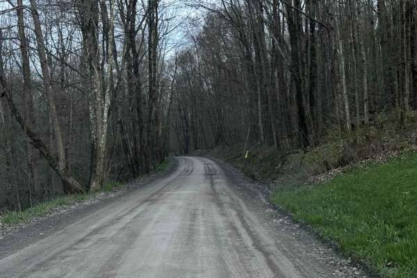 Tripp Lake Road