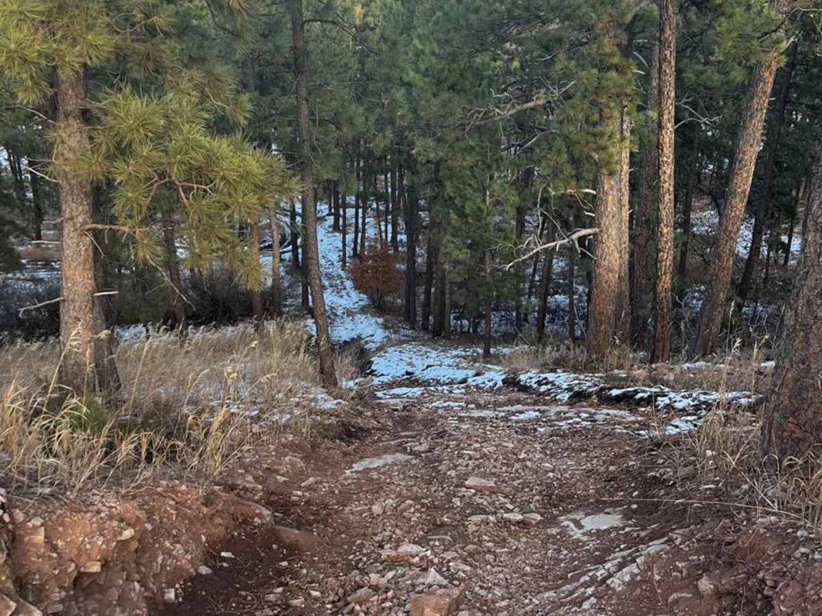 Piedmont To Nemo Trail photo 4