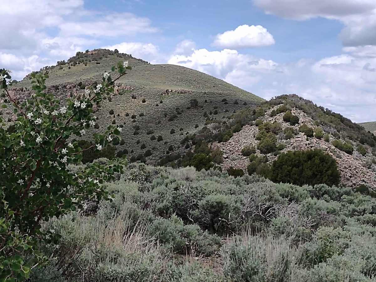 Monroe Road Cut-Across (FS #41204/BLM #5162) trail photo