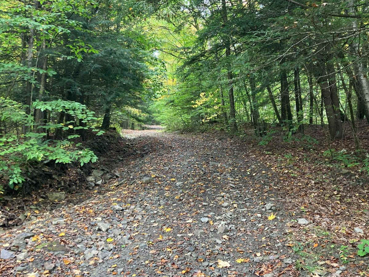 Cook Road photo 2