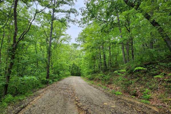 Blacks Run Road