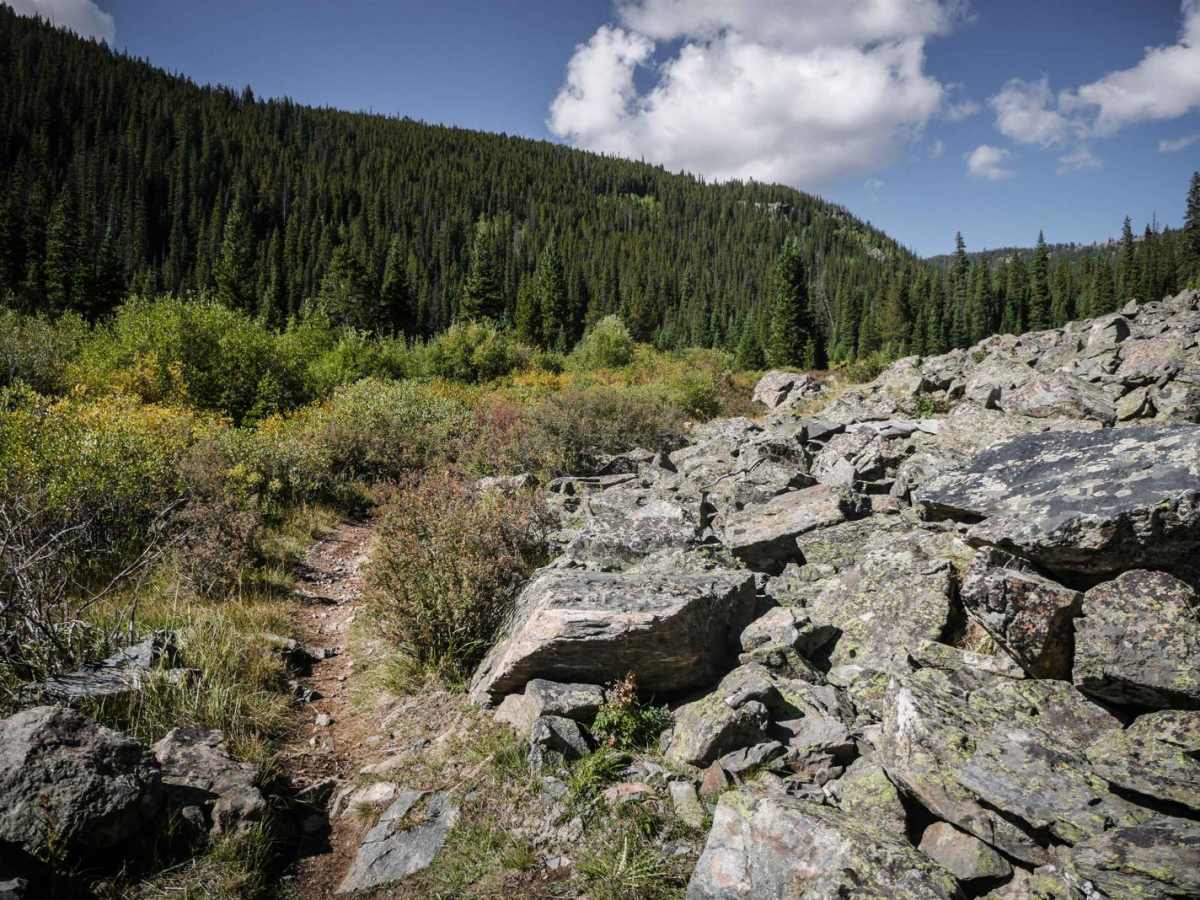 Gold Creek (South) photo 3