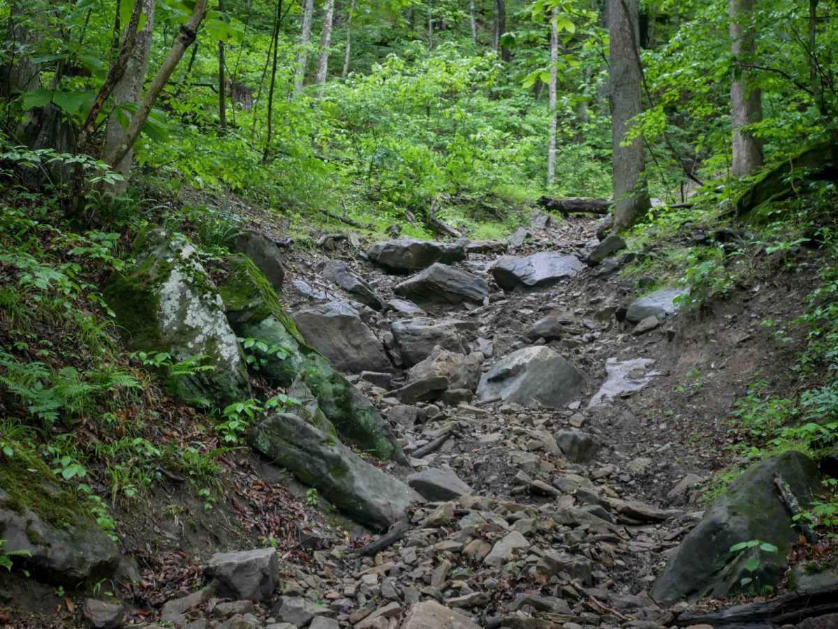 B79 trail photo