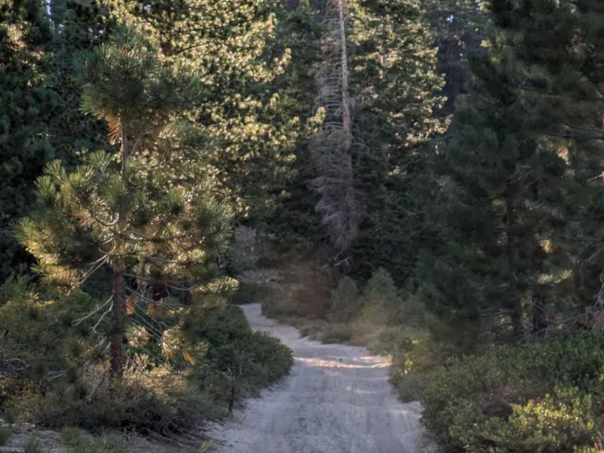 3S121 - Whoopsie Test Ride trail photo