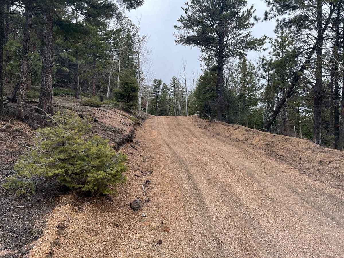 Powerline East Road 318 photo 6