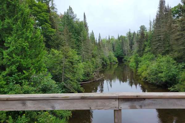 Fish Cove Cut