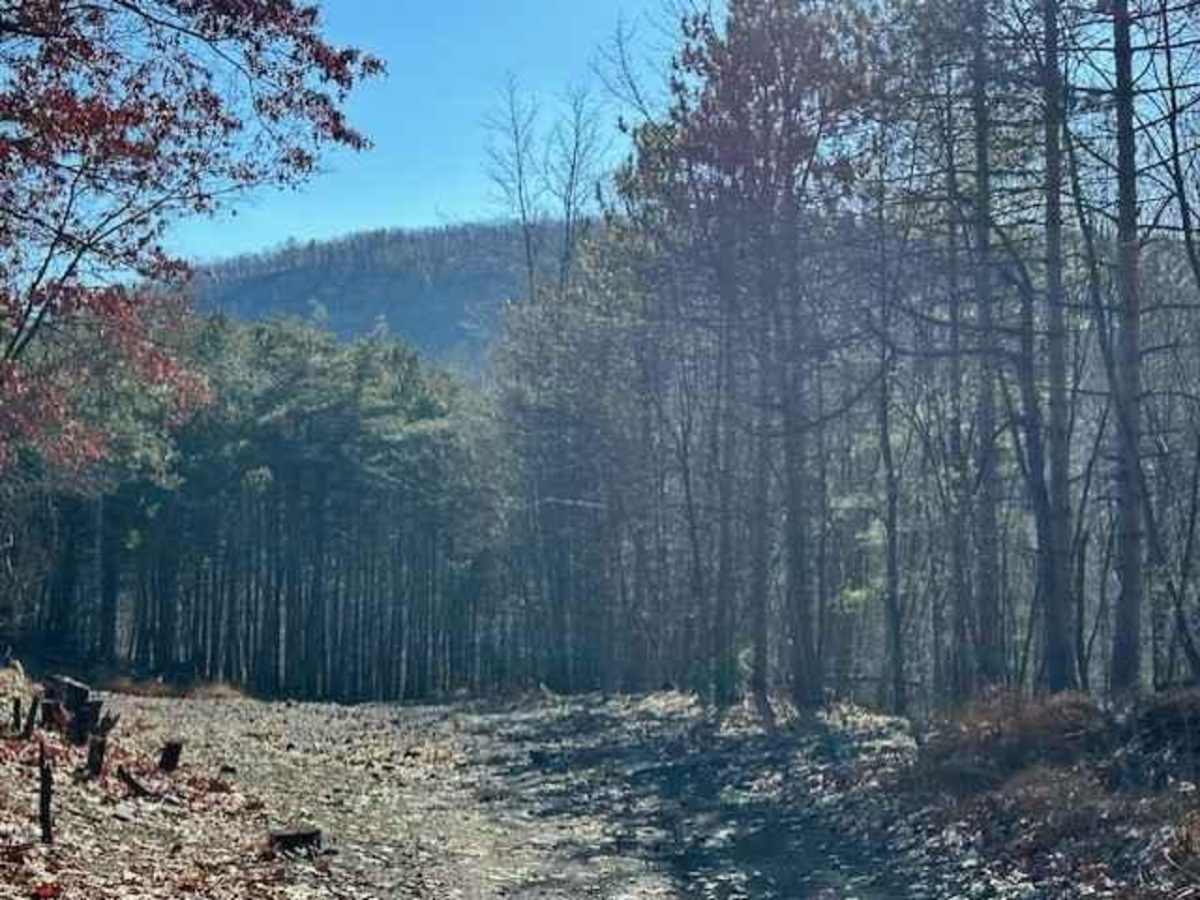 Darkwater 52 trail photo