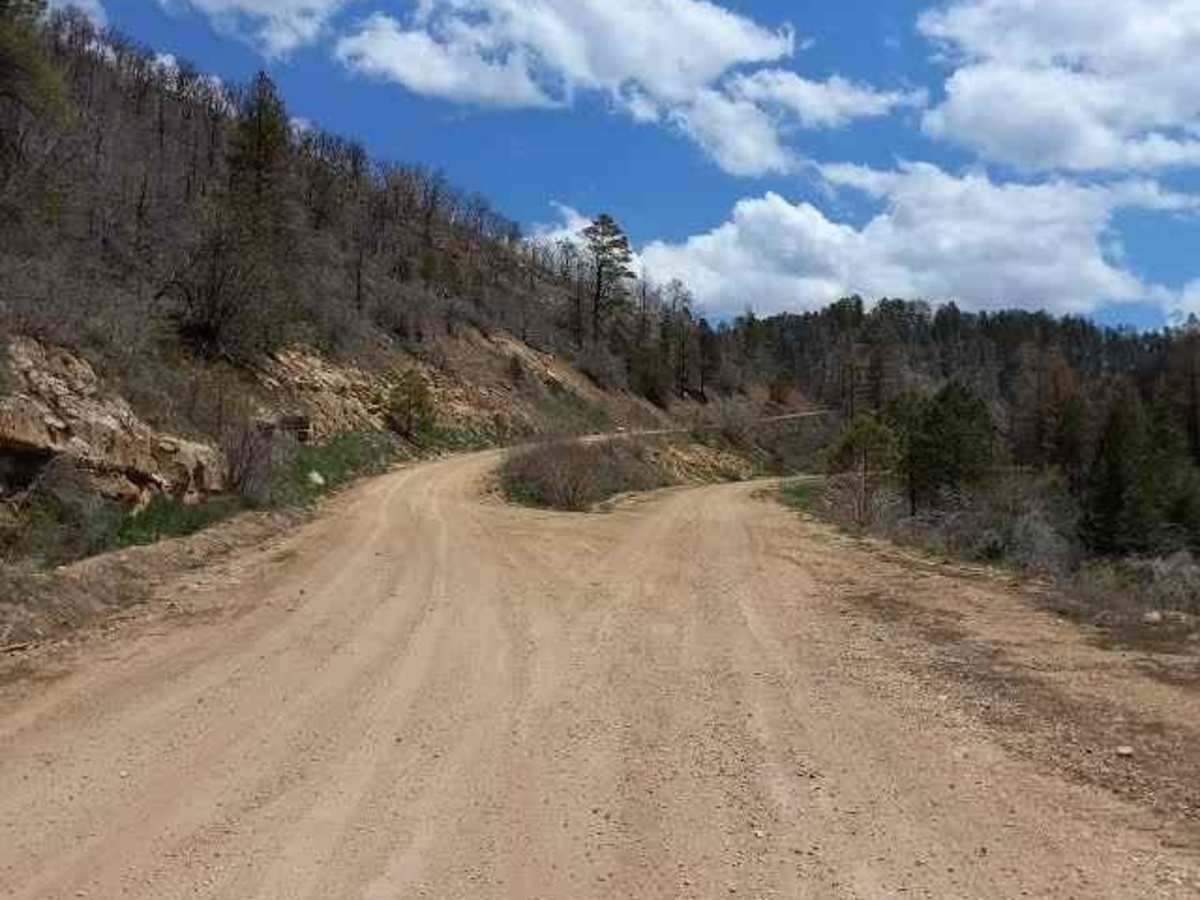 461/Jacob Lake photo 5