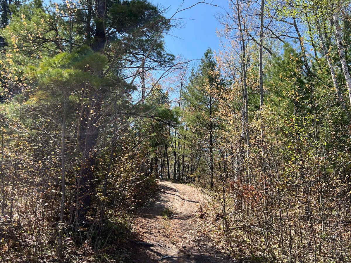Grand Marais to CR 414 photo 4