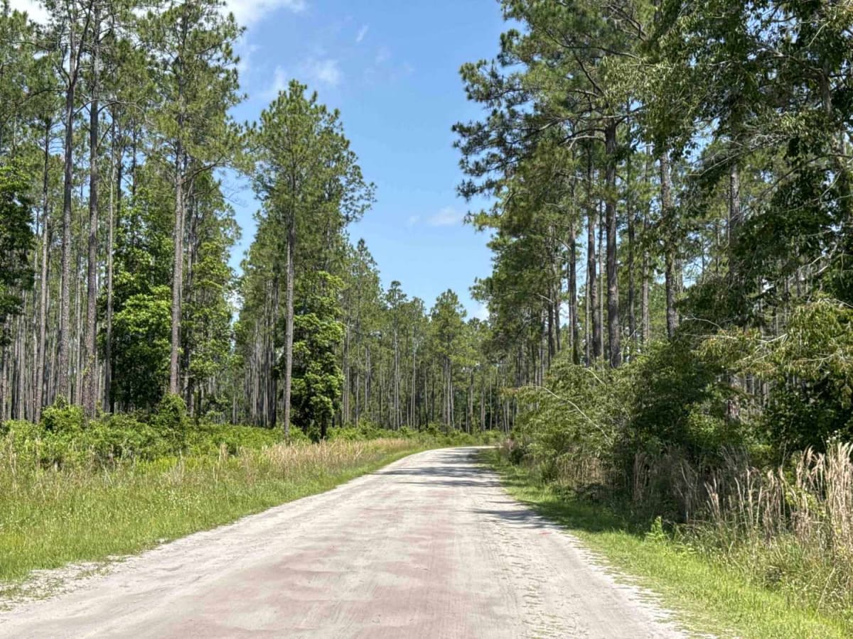 Burnt Island Trail photo 3