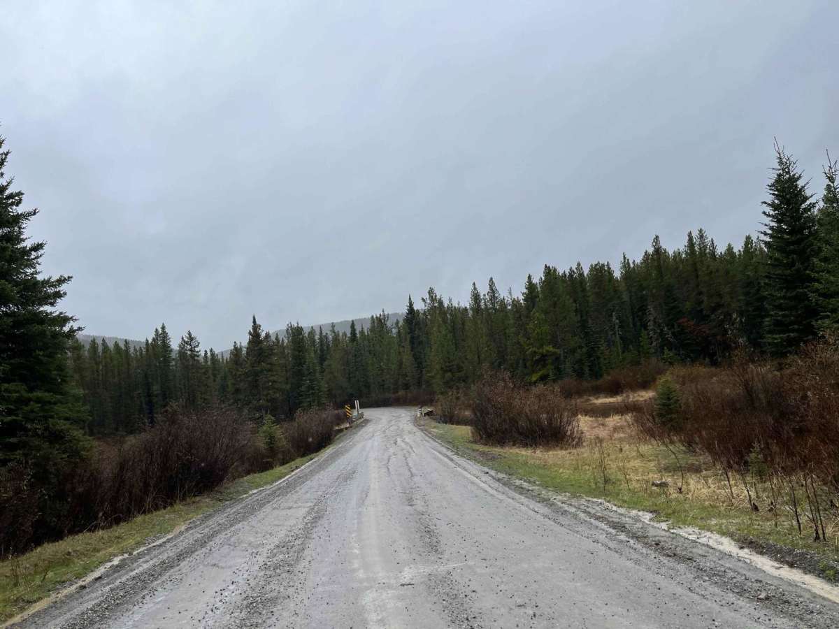Waiparous Valley Road photo 6