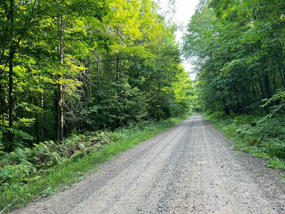 Indian Market Road - FS 2139 photo 4