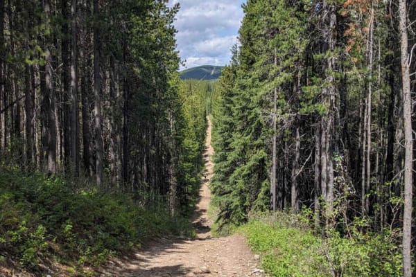 Allison creek Trail