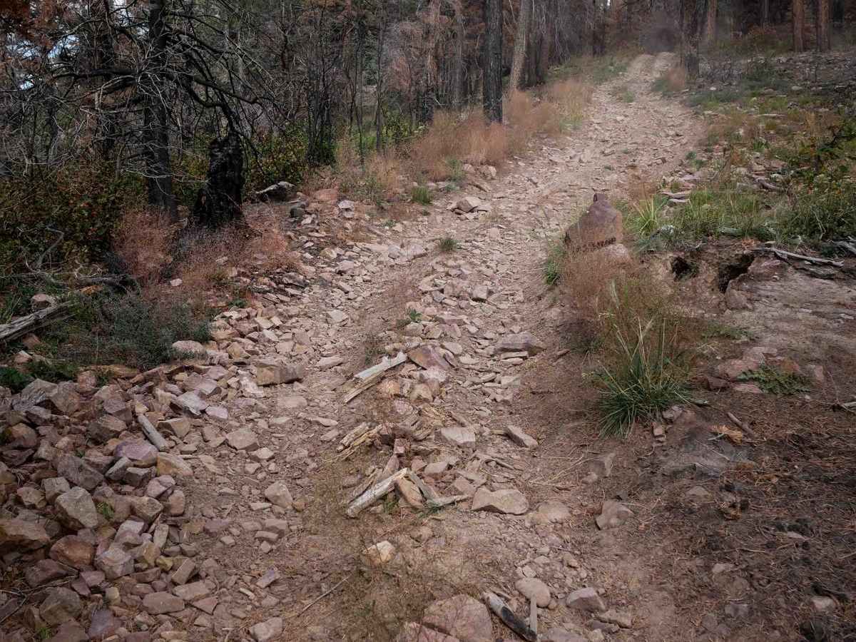 Trail Spring trail photo