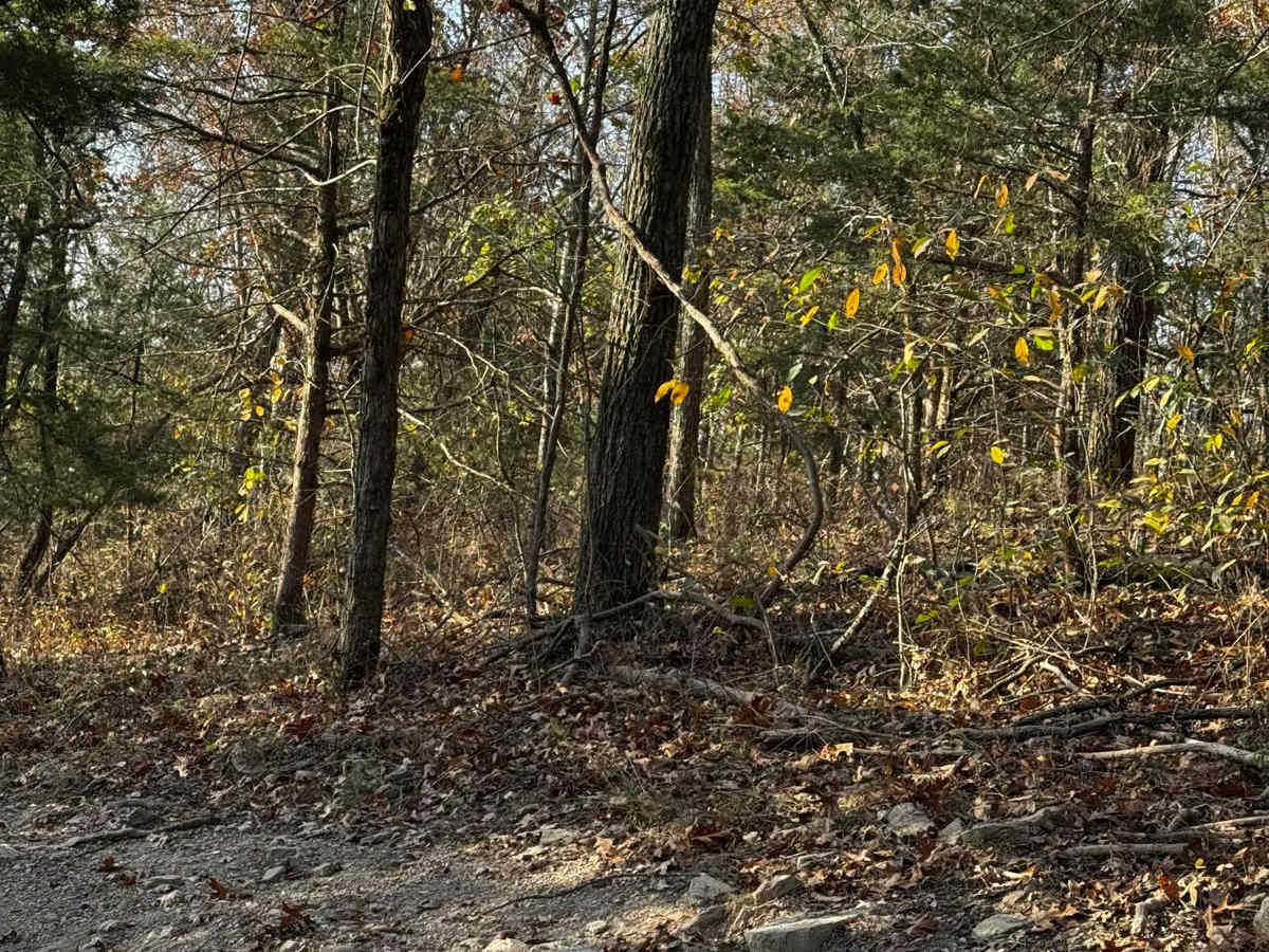 Bluff Run photo 6