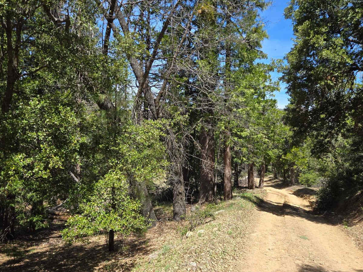 Hill Ranch trail photo