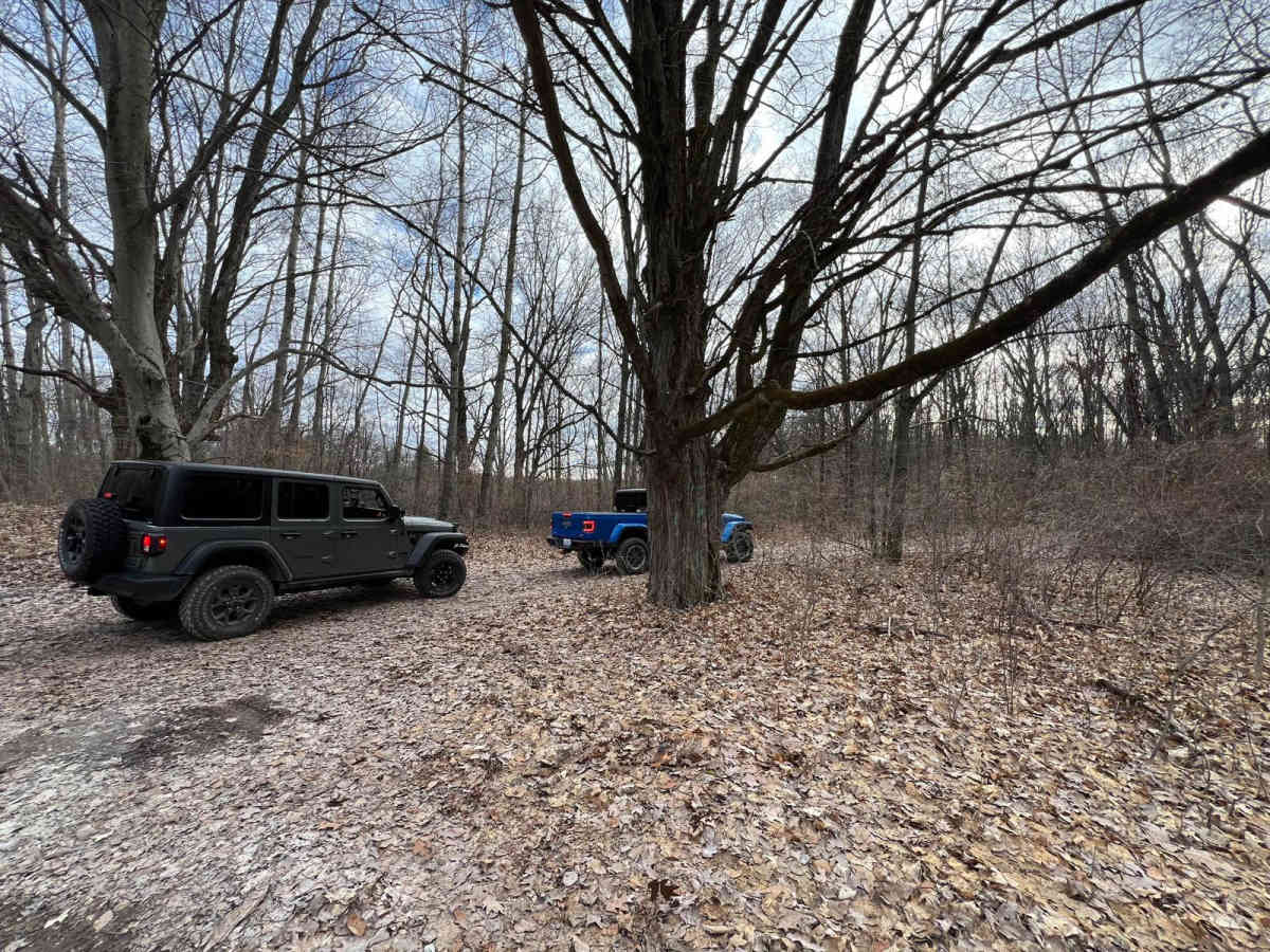 Flexy Ditch (NFS 5187) photo 3