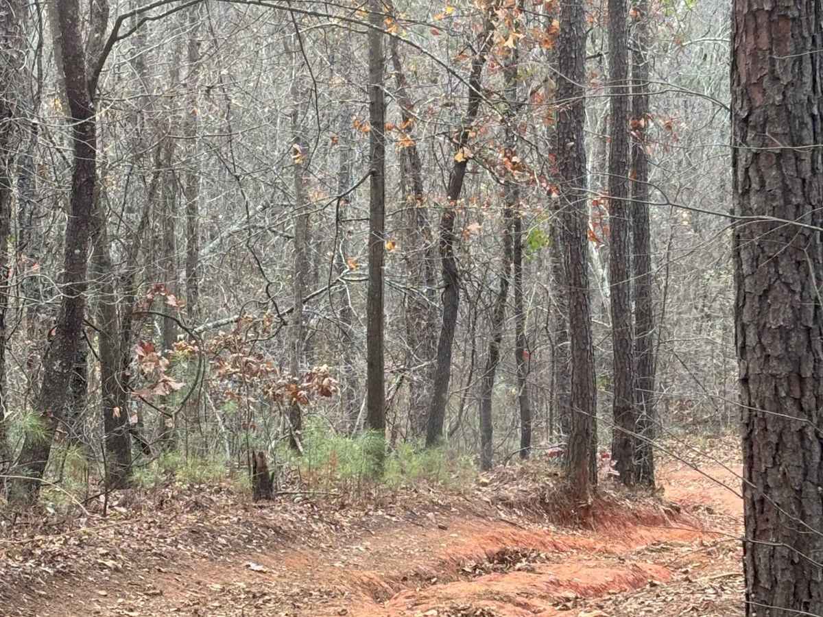 Magnolia Trail photo 3
