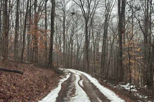 Reese Ridge 3044BB