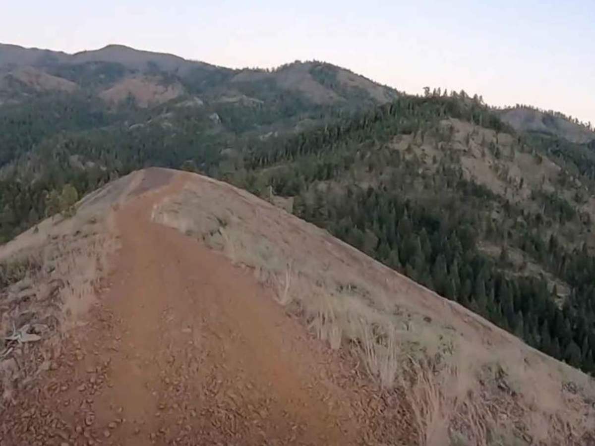 Blue Creek NF9738 photo 5