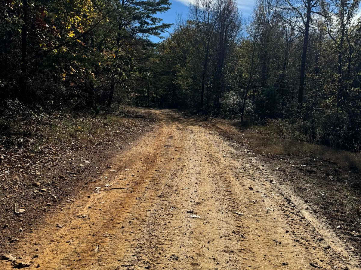 #81 Ridgeline Trail photo 4