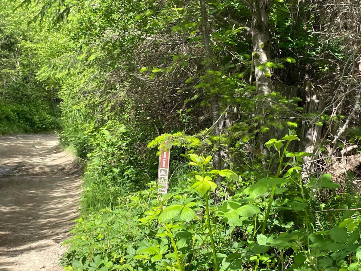 Ron's Run photo 6