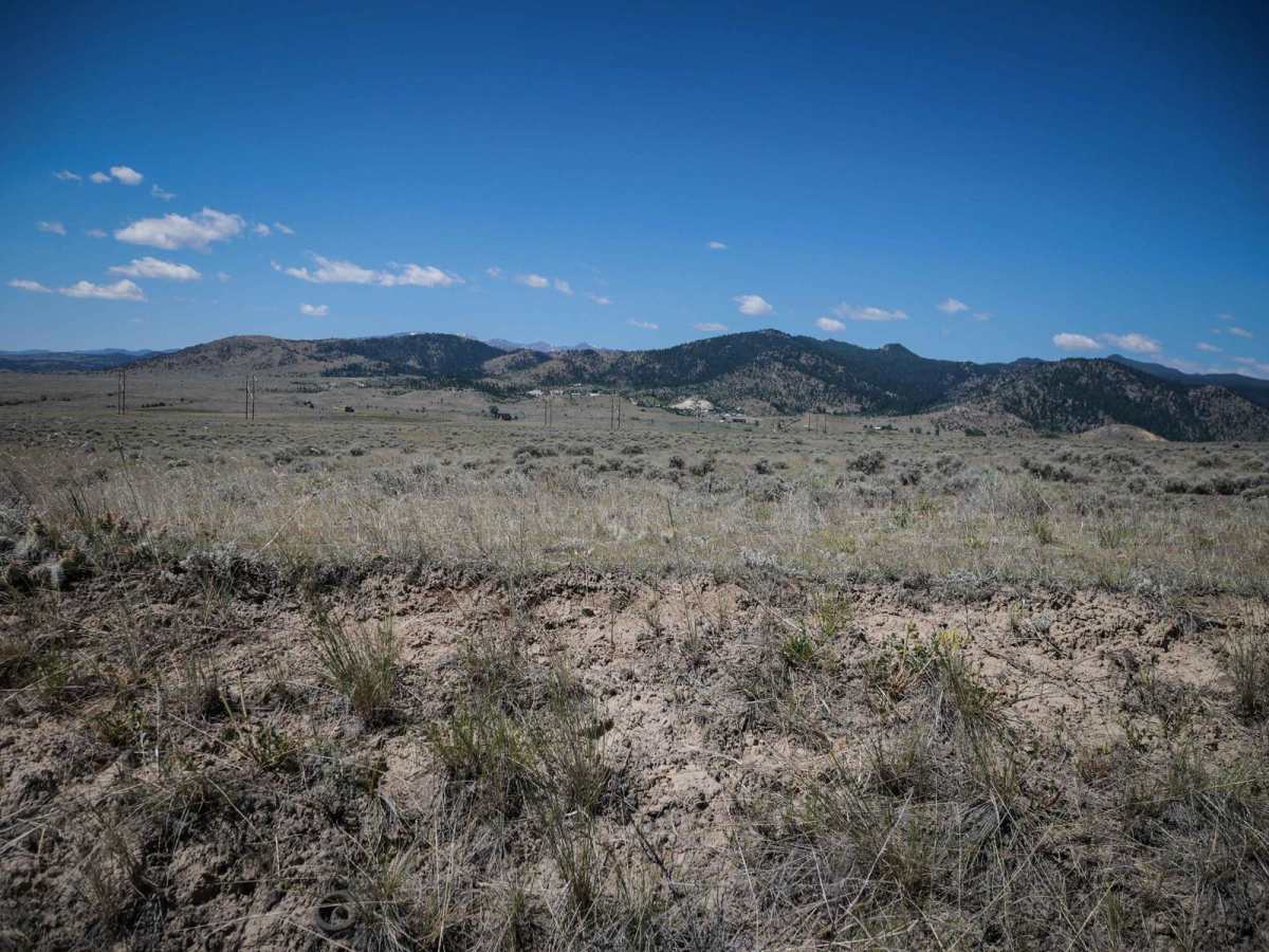 BLM 1 photo 6