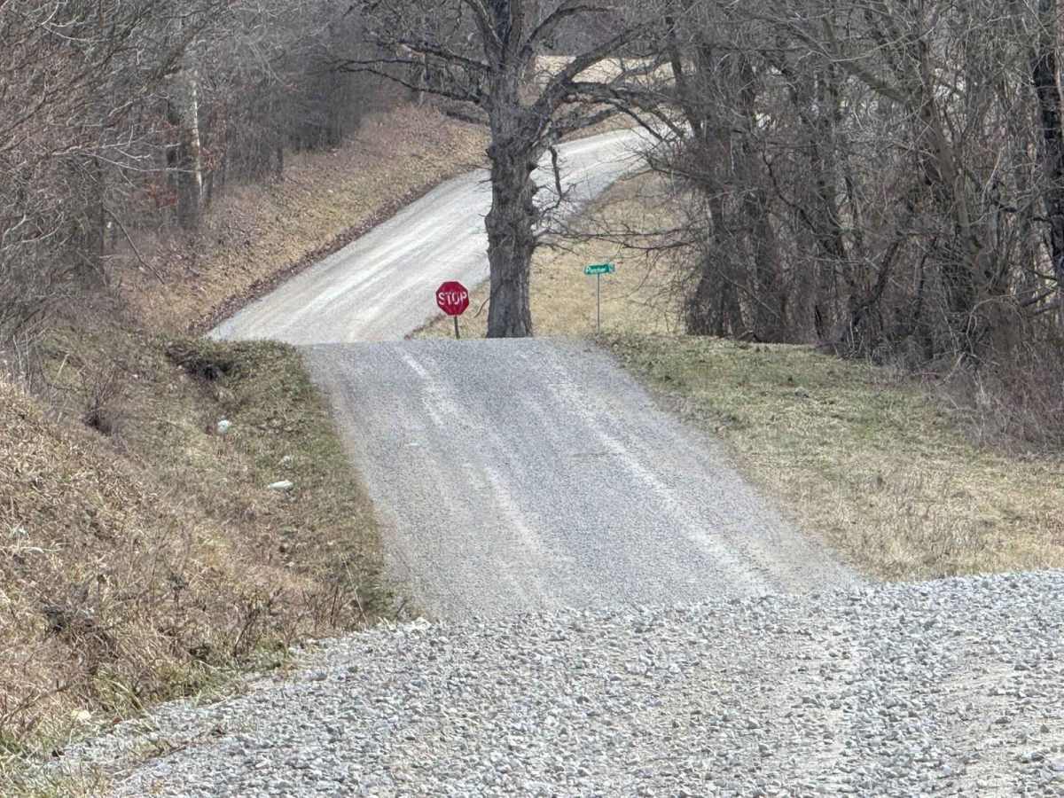 Plecher Road to Pyramid House trail photo