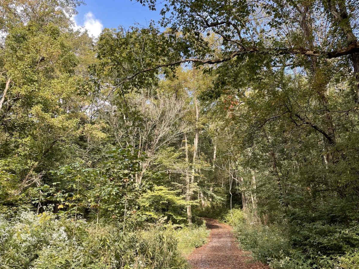 Houchin Ferry - Mammoth Cave NP photo 5