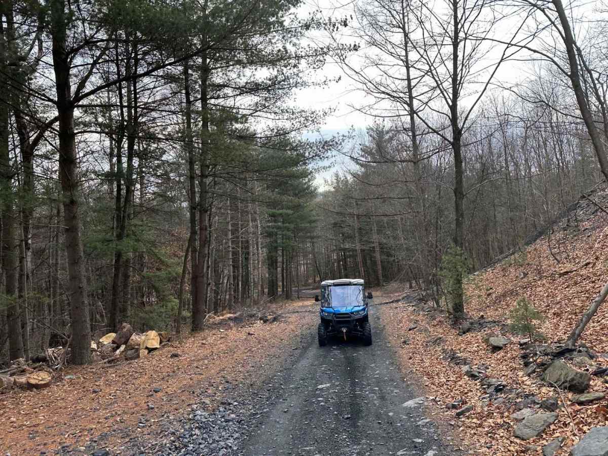 Locust Gap 16 photo 4