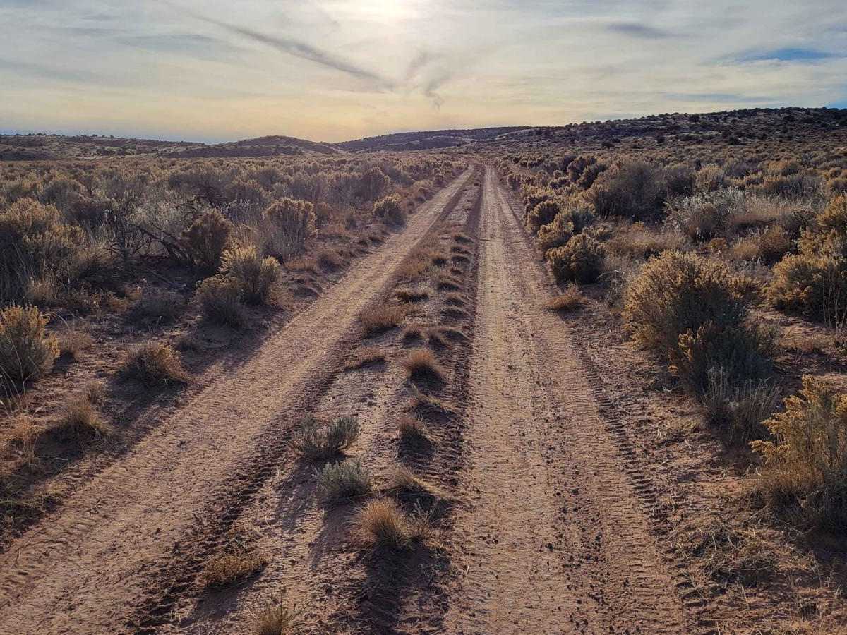 Sullivan Draw Road South - BLM 1040 photo 2