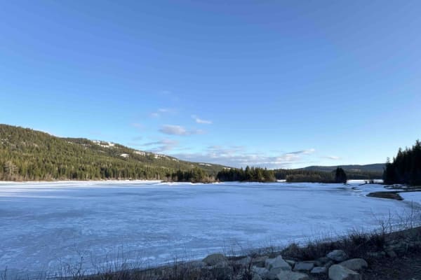Bear Lake Main FSR