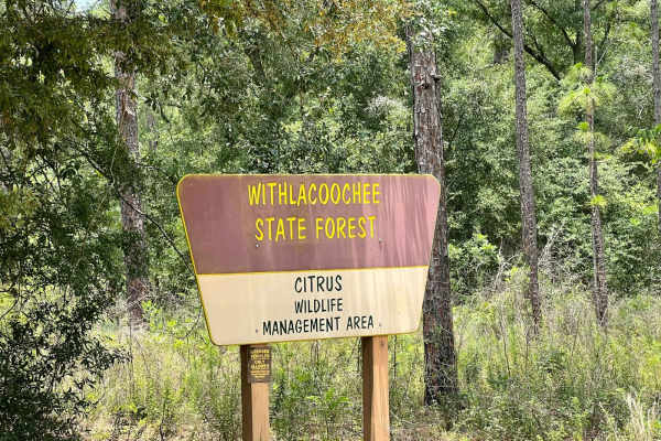 Citrus Wildlife Management | 11B