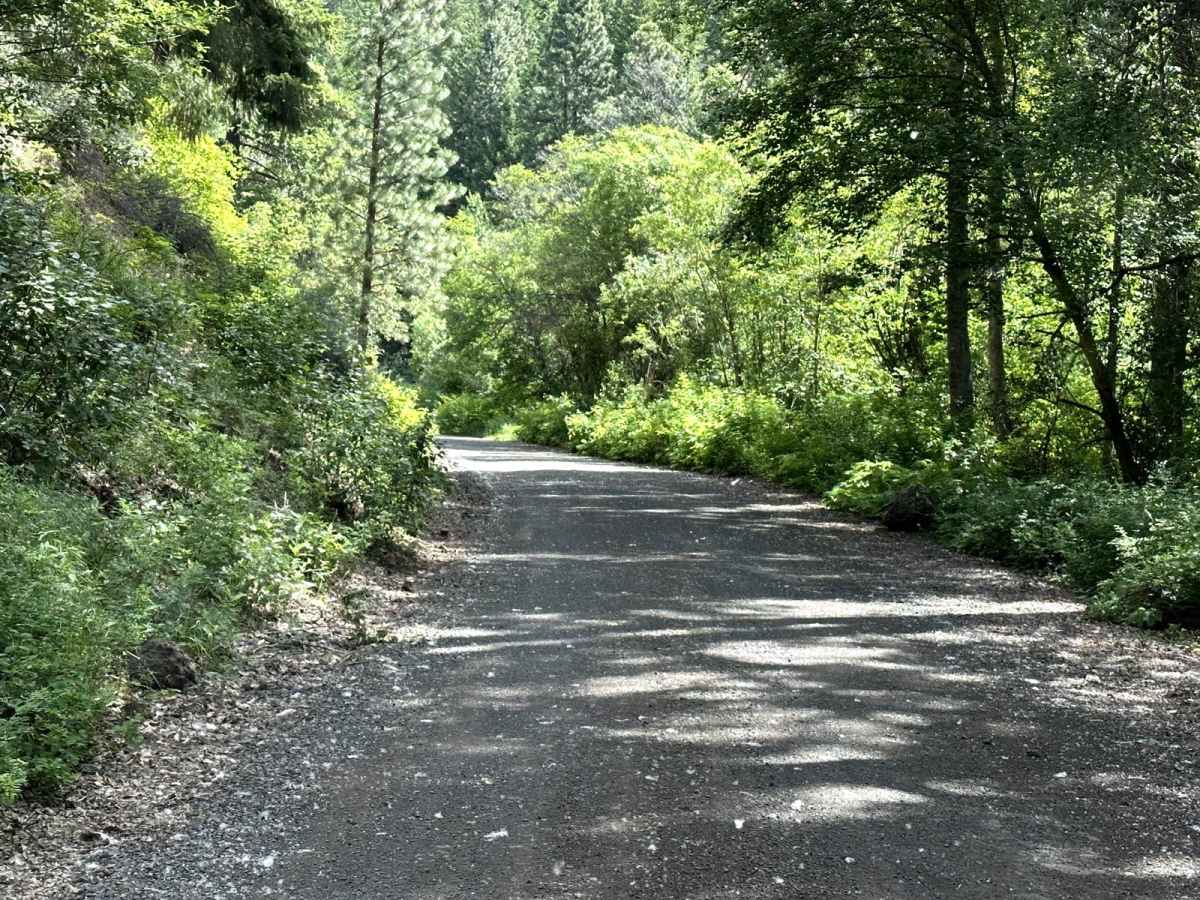 Rock Creek Road photo 2