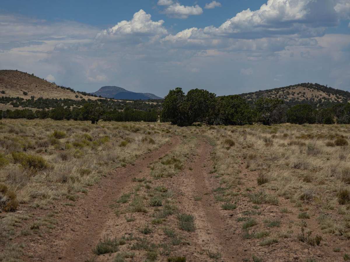 Antelope Run photo 3