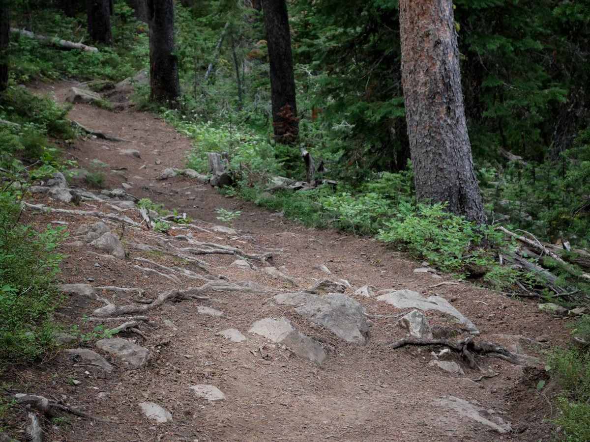 Golden Trout Lakes #83 photo 5