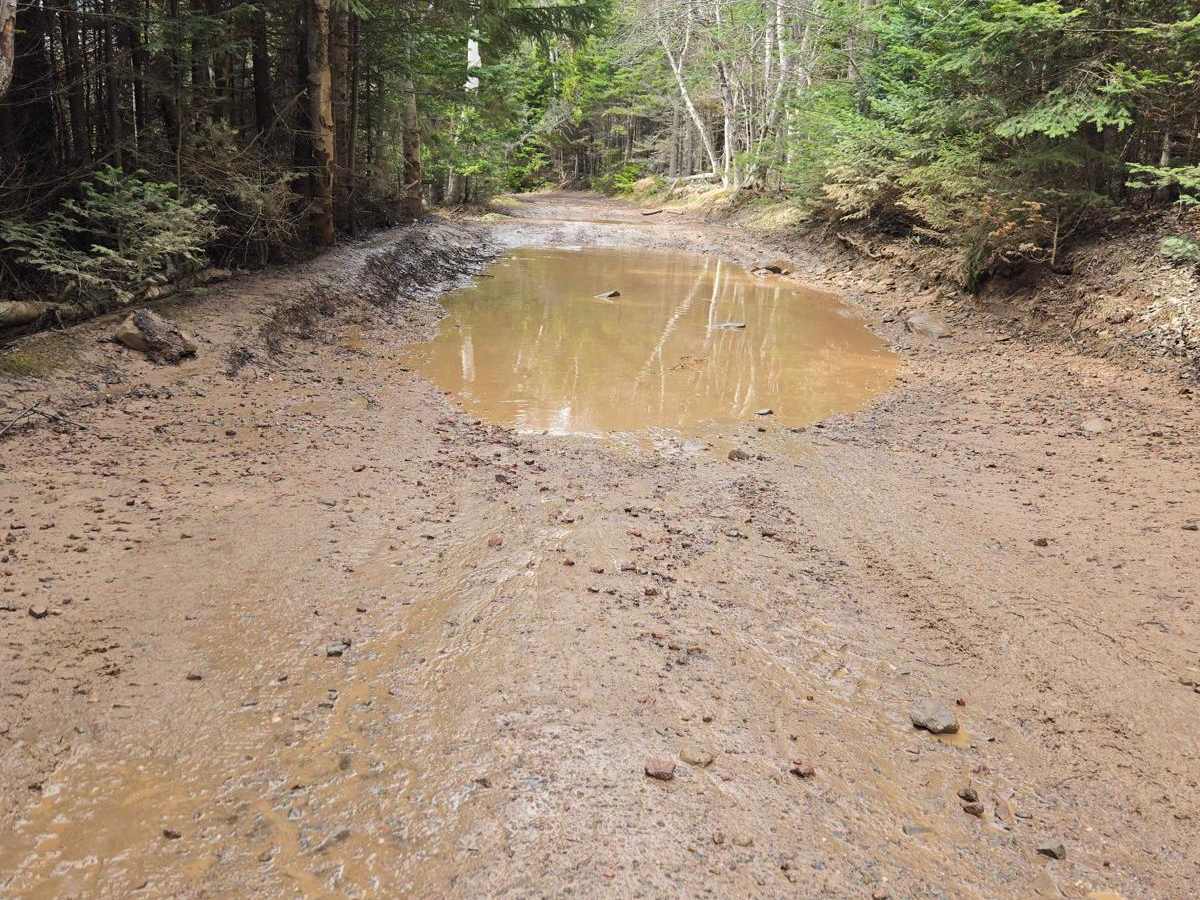 Beaumont Road photo 6