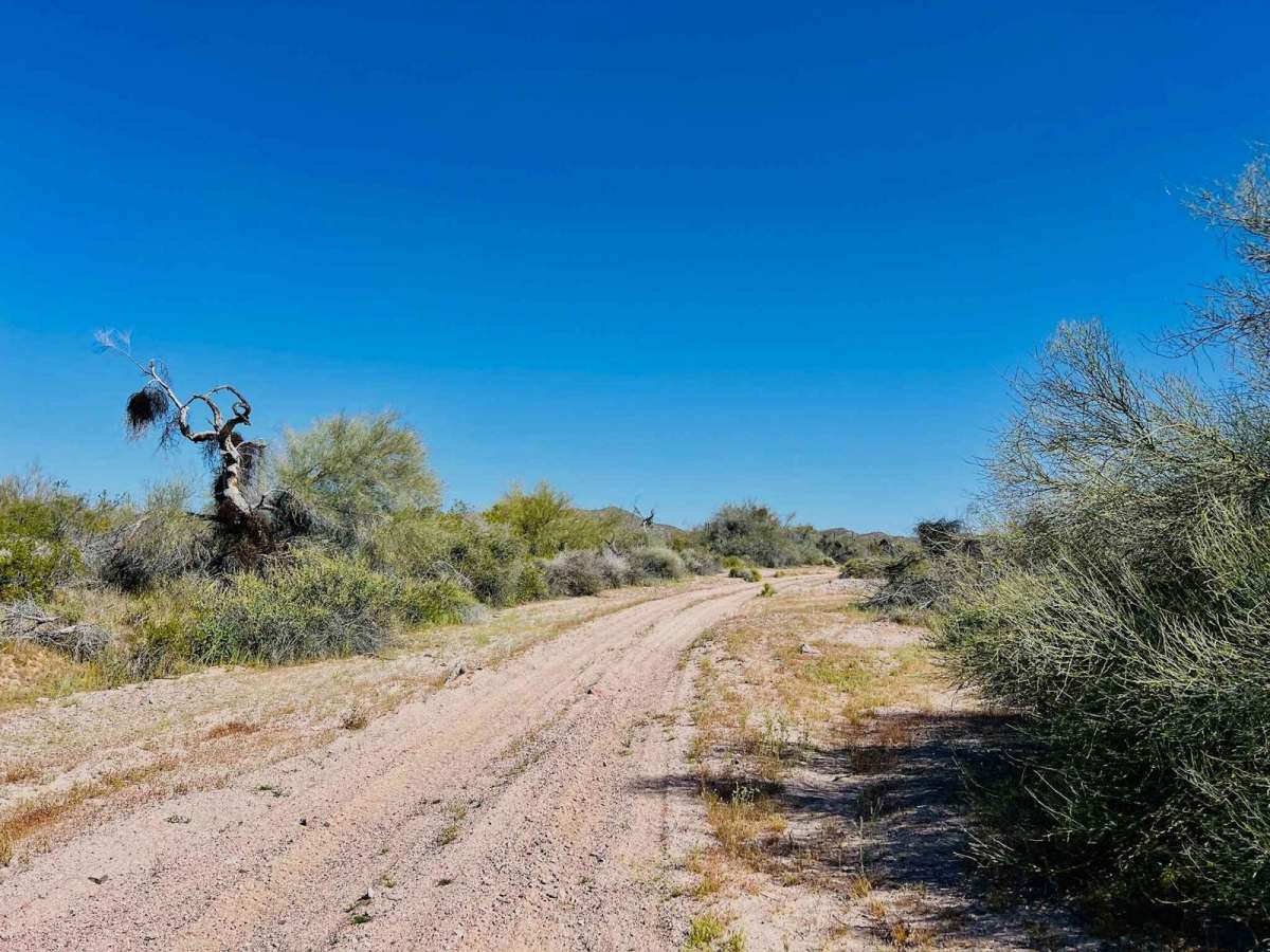 Jimmie Wash Trail photo 6