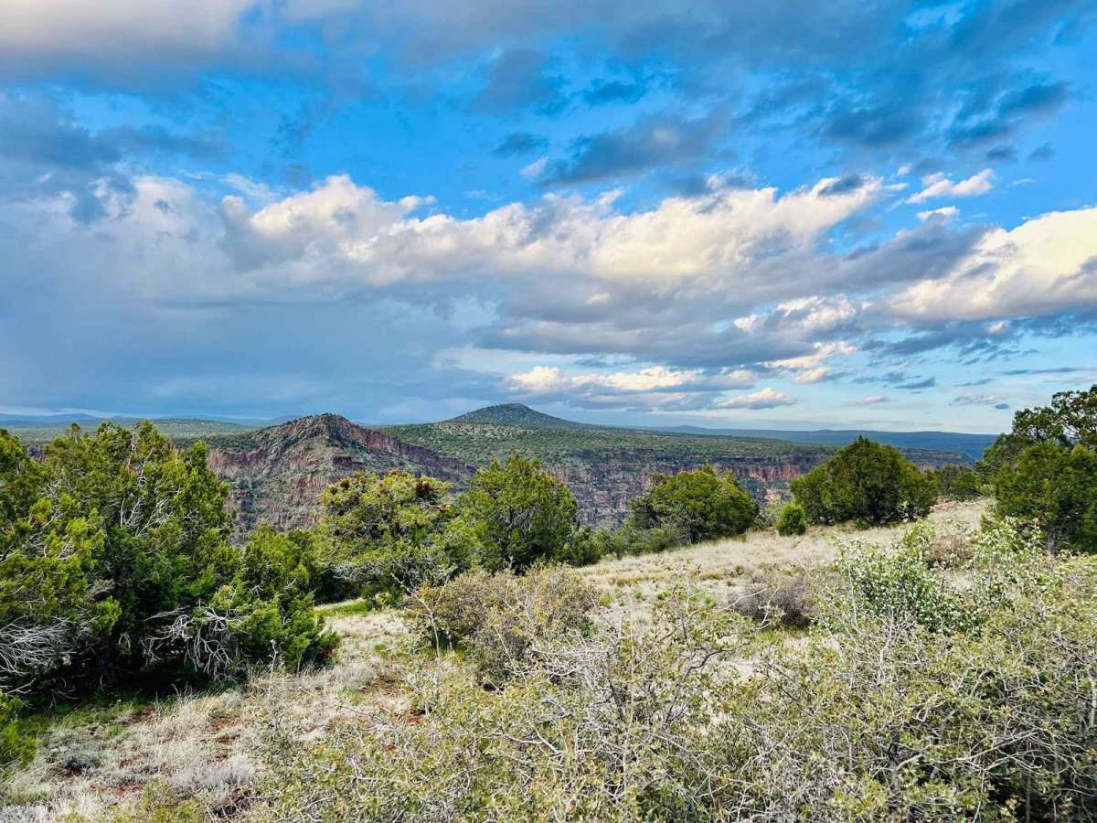 Oak Hill trail photo
