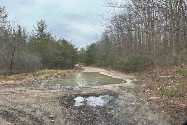 Locust Gap 23